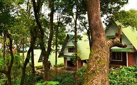 Misty Woods Resort